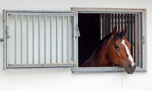 Hestestald oplukkelige vinduer Byggeri til hestesporten Dansk Halbyggeri